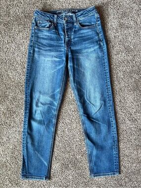 American Eagle Vintage Hi-Rise Straight Jeans